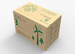 Eco-Packaging